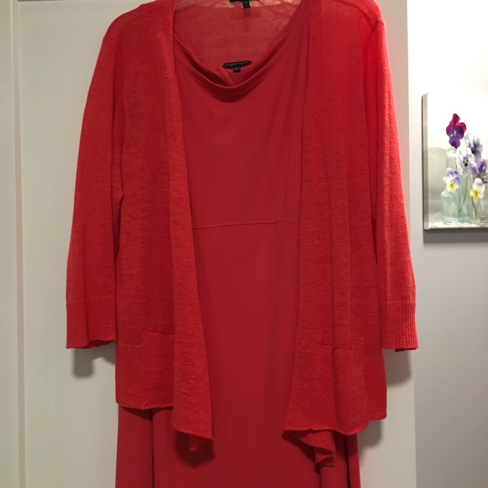Eileen Fisher 2pc dress and sweater